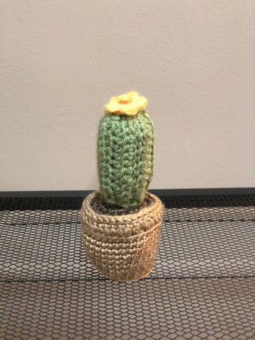 Crochet Torch Cactus Amigurumi