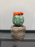 Crochet Barrel Cactus Amigurumi
