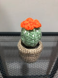 Crochet Barrel Cactus Amigurumi